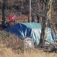 Tent at the edge of some woods with belongings outside of it.