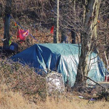 Tent at the edge of some woods with belongings outside of it.