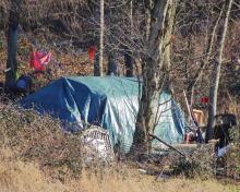 Tent at the edge of some woods with belongings outside of it.